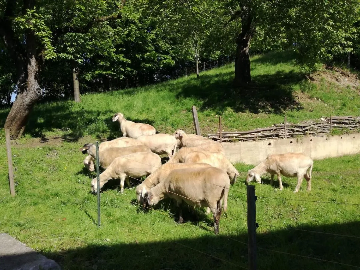 Haus Ella - Ferienhaus auf dem Land vor den Toren Salzburgs Petting Deutschland
