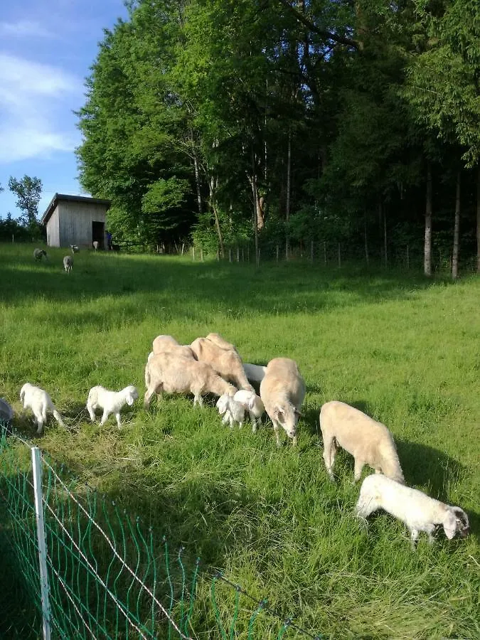 Haus Ella - Ferienhaus auf dem Land vor den Toren Salzburgs Petting Deutschland